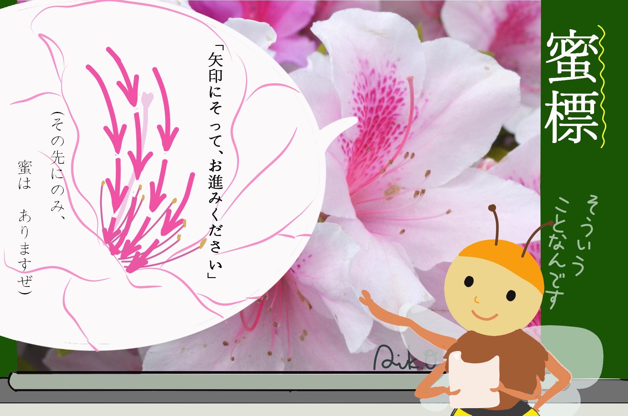 蜜を吸うミツバチと花の蜜標を観察しよう