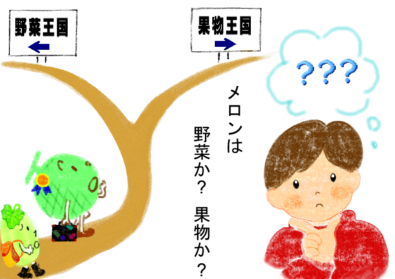 メロンは野菜か果物か？　 どう考えても果物と思うけど…  