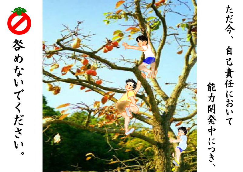 安全神話に守られて・・　 どこまでが自己責任？  