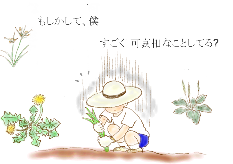 学校の植物・動物　 昔の飼育栽培は人の暮らしに利用するもの  