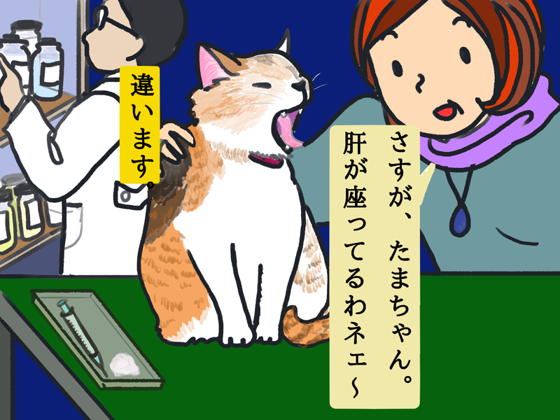 あくびのメカニズム 科学実験データ 科学実験データベース 公益財団法人日本科学協会 あくびのメカニズム 科学実験データ 科学実験データベース 公益財団法人日本科学協会