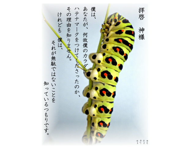 無駄のすすめ　 効率的には無駄でも教育的には無駄でない 