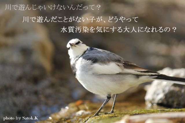 無駄なこと?　無駄な教育