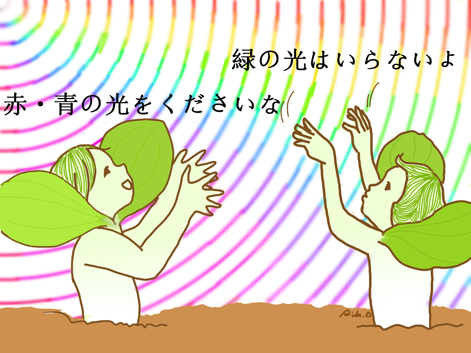 葉が必要とする光の色は何色か調べよう
