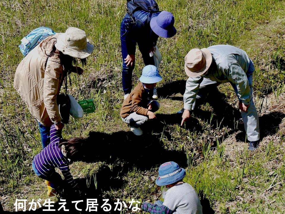 やしろの森002