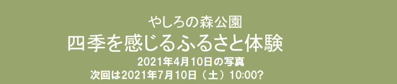 やしろの森タイトル